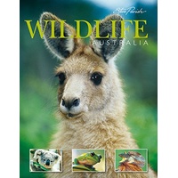 SOUVENIR PICTURE BOOK: WILDLIFE, AUSTRALIA image