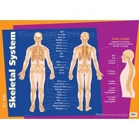 WALL CHAERT: SKELETAL SYSTEM image
