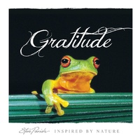 INSPIRED BY NATURE: GRATITUDE image