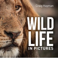 WILDLIFE IN PICTURES image