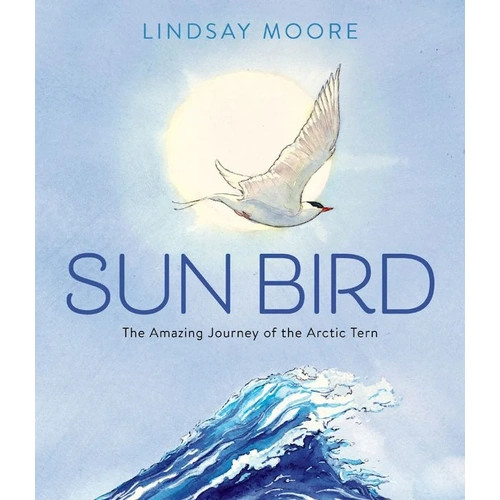 SUNBIRD - THE AMAZING JOURNEY OF THE ARCTIC TEAM