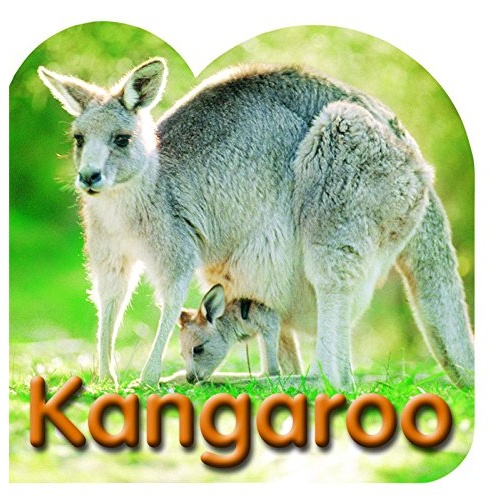 BOARD BOOK: KANGAROO