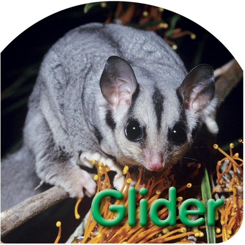 BOARD BOOK: GLIDER