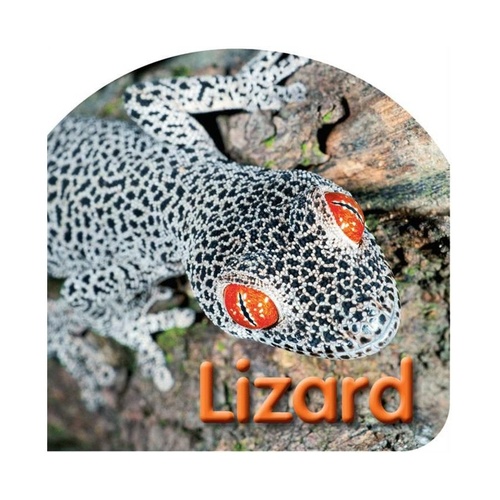 BOARD BOOK: LIZARD