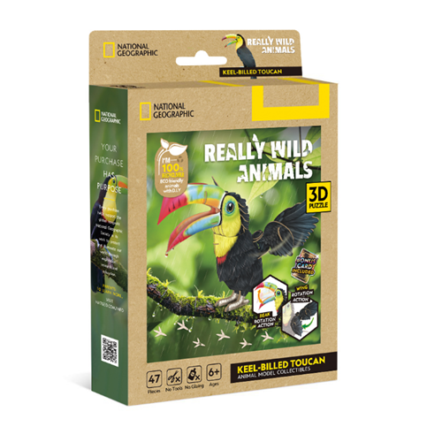 National Geographic - Keel-billed Toucan