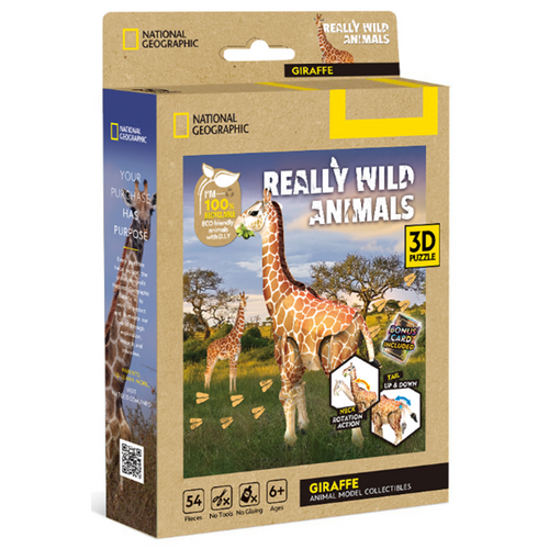 National Geographic - Giraffe