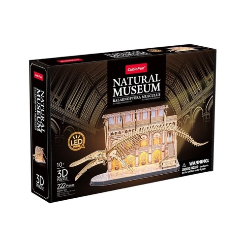 Natural Museum - Blue Whale